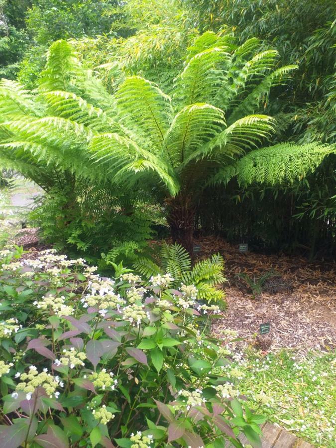 Un Jardin En Pente Douce Holiday home *