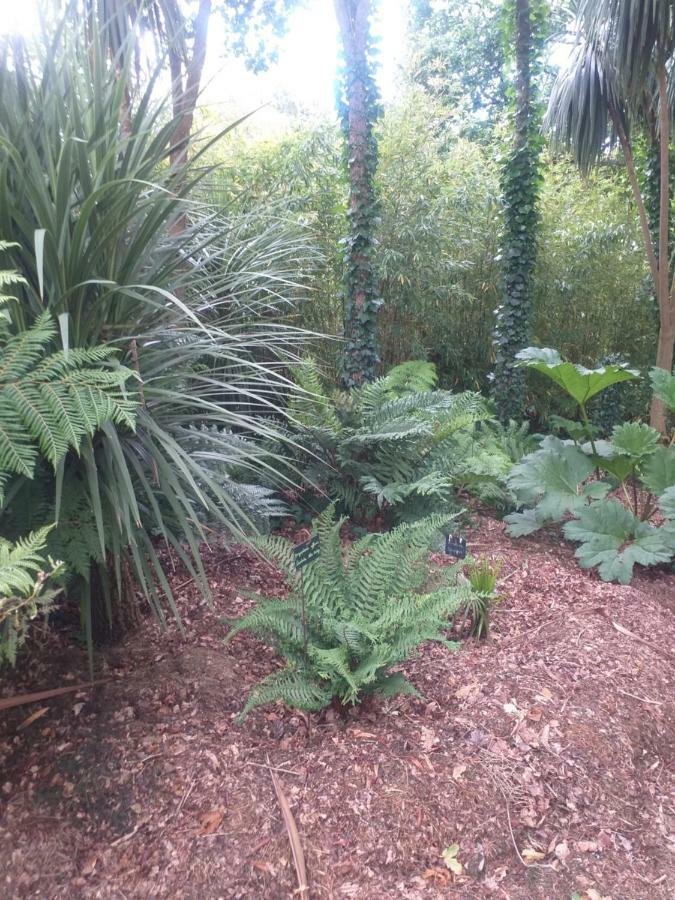Holiday home Un Jardin En Pente Douce Locquenole