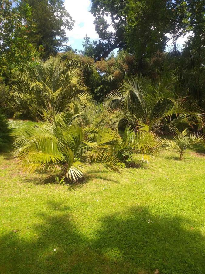 Holiday home Un Jardin En Pente Douce