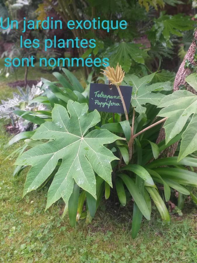 Un Jardin En Pente Douce * Locquenole