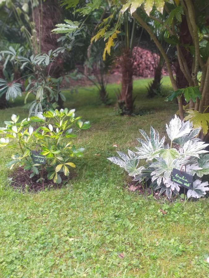 Holiday home Un Jardin En Pente Douce Locquenole